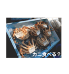 第三太幸丸（個別スタンプ：17）