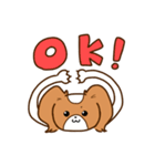 パピヨンのコスモ（個別スタンプ：1）