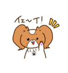 パピヨンのコスモ（個別スタンプ：3）