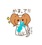 パピヨンのコスモ（個別スタンプ：6）