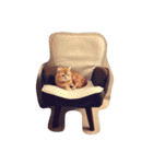 ゴロすけスタンプ（個別スタンプ：8）