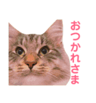 おむぎのスタンプ（個別スタンプ：2）