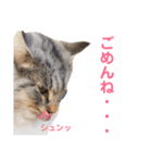 おむぎのスタンプ（個別スタンプ：4）