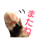 おむぎのスタンプ（個別スタンプ：6）