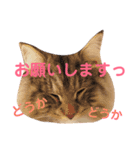 おむぎのスタンプ（個別スタンプ：7）