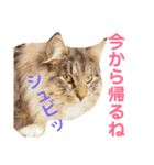 おむぎのスタンプ（個別スタンプ：8）