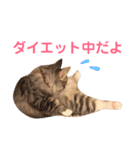 おむぎのスタンプ（個別スタンプ：13）