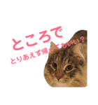 おむぎのスタンプ（個別スタンプ：24）