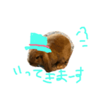 ロップイヤーウサコスタンプ ☆（個別スタンプ：2）