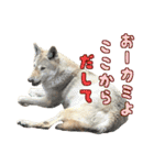 動物のダジャレスティッカー（個別スタンプ：2）