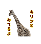 動物のダジャレスティッカー（個別スタンプ：4）