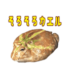 動物のダジャレスティッカー（個別スタンプ：7）