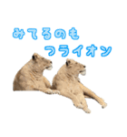 動物のダジャレスティッカー（個別スタンプ：10）