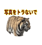 動物のダジャレスティッカー（個別スタンプ：11）
