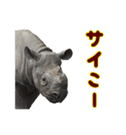 動物のダジャレスティッカー（個別スタンプ：16）