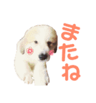 FAMILIARスタンプ（個別スタンプ：4）