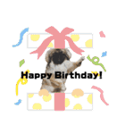 うちのマル2（個別スタンプ：26）