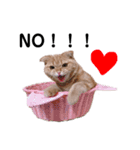 ねこ かわいい スコティッシュ 茶トラ（個別スタンプ：9）