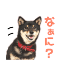 黒柴らんちゃんとお友達スタンプ（個別スタンプ：6）