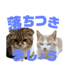 ひこ＆くにゃ 11（個別スタンプ：2）
