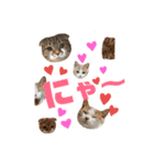 ひこ＆くにゃ 11（個別スタンプ：3）