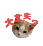 ひこ＆くにゃ 11（個別スタンプ：5）