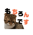 ひこ＆くにゃ 11（個別スタンプ：7）
