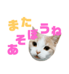 ひこ＆くにゃ 11（個別スタンプ：8）