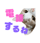 ひこ＆くにゃ 11（個別スタンプ：10）