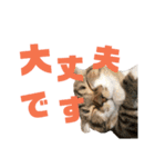ひこ＆くにゃ 11（個別スタンプ：12）