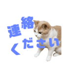 ひこ＆くにゃ 11（個別スタンプ：14）