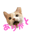 ひこ＆くにゃ 11（個別スタンプ：16）