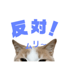 ひこ＆くにゃ 11（個別スタンプ：17）