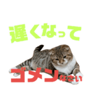 ひこ＆くにゃ 11（個別スタンプ：19）