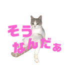 ひこ＆くにゃ 11（個別スタンプ：20）