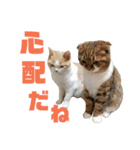 ひこ＆くにゃ 11（個別スタンプ：22）