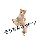 みんなの大事なペット（個別スタンプ：28）