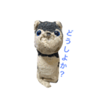 わんこvol.2（個別スタンプ：2）