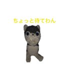 わんこvol.2（個別スタンプ：5）