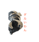 わんこvol.2（個別スタンプ：8）