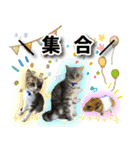 ねこのふーくん（個別スタンプ：16）