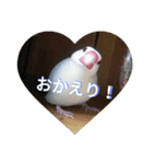 白松～スタンプ～（個別スタンプ：5）