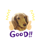 カワ犬❤︎Leoのキモチ①（個別スタンプ：4）