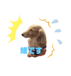 カワ犬❤︎Leoのキモチ①（個別スタンプ：8）