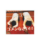hanesan2（個別スタンプ：15）