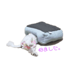 ゆうちゃんのひとこと（個別スタンプ：2）