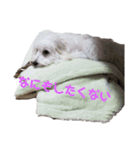 ゆうちゃんのひとこと（個別スタンプ：8）