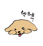 子犬 (Mungmoong)（個別スタンプ：12）