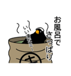 ダークブラックキンカ6（個別スタンプ：8）