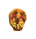 ろちゃん（個別スタンプ：1）